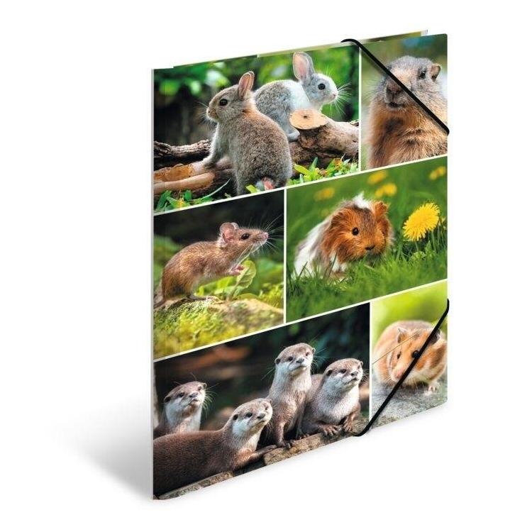 Teczka A4 gumki narożne - Gryzonie