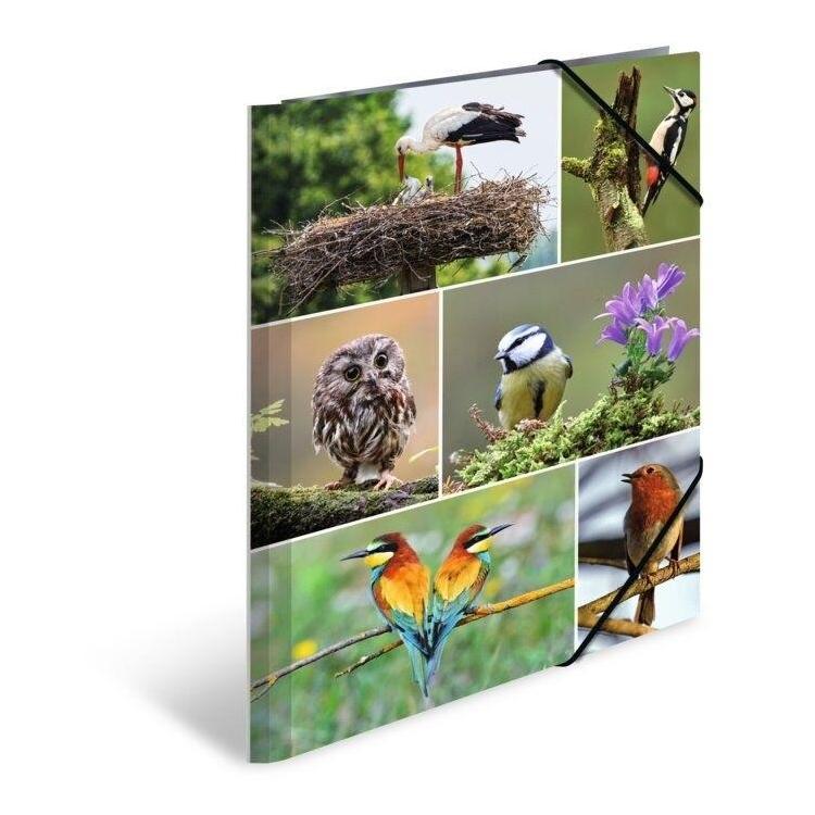 Teczka A4 gumki narożne - Ptaki