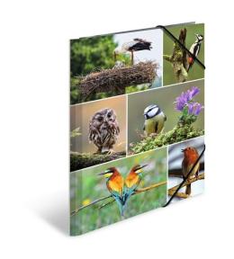 Teczka A4 gumki narożne - Ptaki