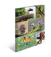 Teczka A4 gumki narożne - Ptaki