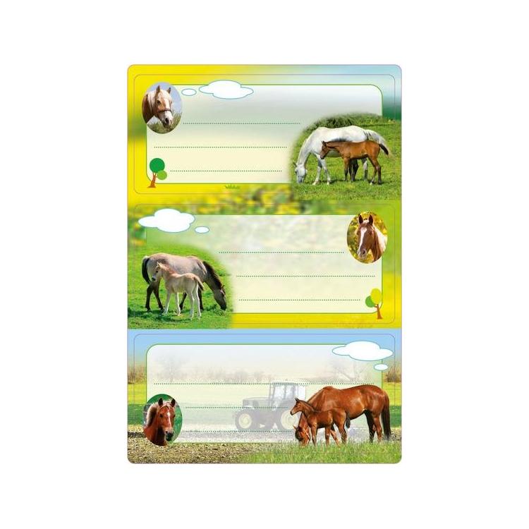 Naklejki szkolne - Konie 6szt