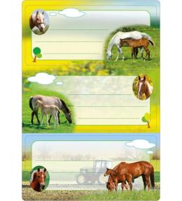 Naklejki szkolne - Konie 6szt
