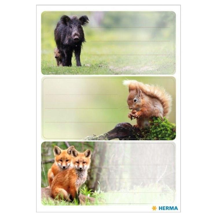Naklejki szkolne - Zwierzęta leśne 9szt