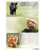 Naklejki szkolne - Zwierzęta leśne 9szt