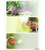 Naklejki szkolne - Gryzionie 9szt