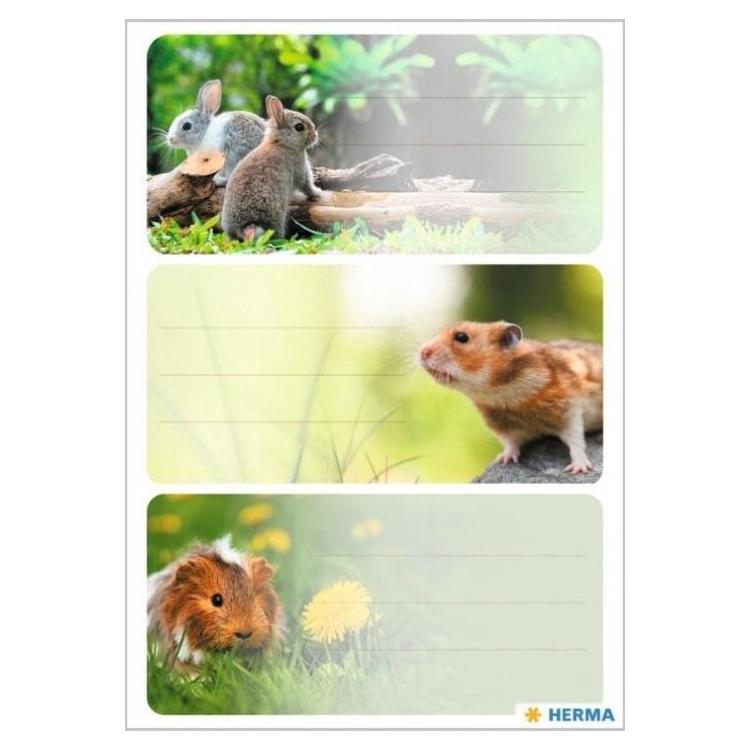 Naklejki szkolne - Gryzionie 9szt