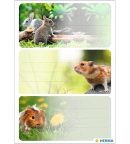 Naklejki szkolne - Gryzionie 9szt