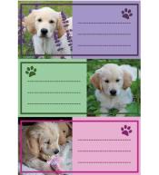 Naklejki szkolne - Pieski 9szt