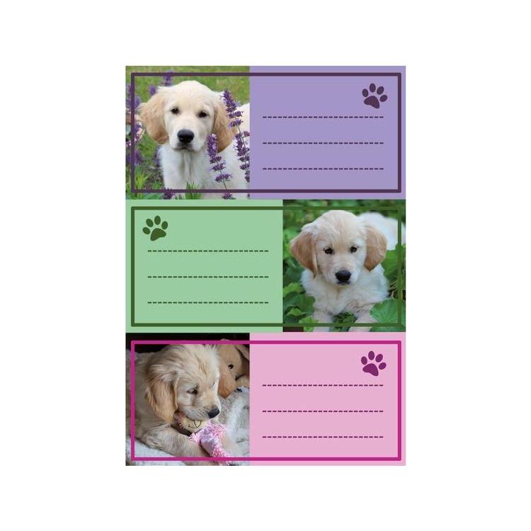 Naklejki szkolne - Pieski 9szt