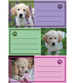 Naklejki szkolne - Pieski 9szt