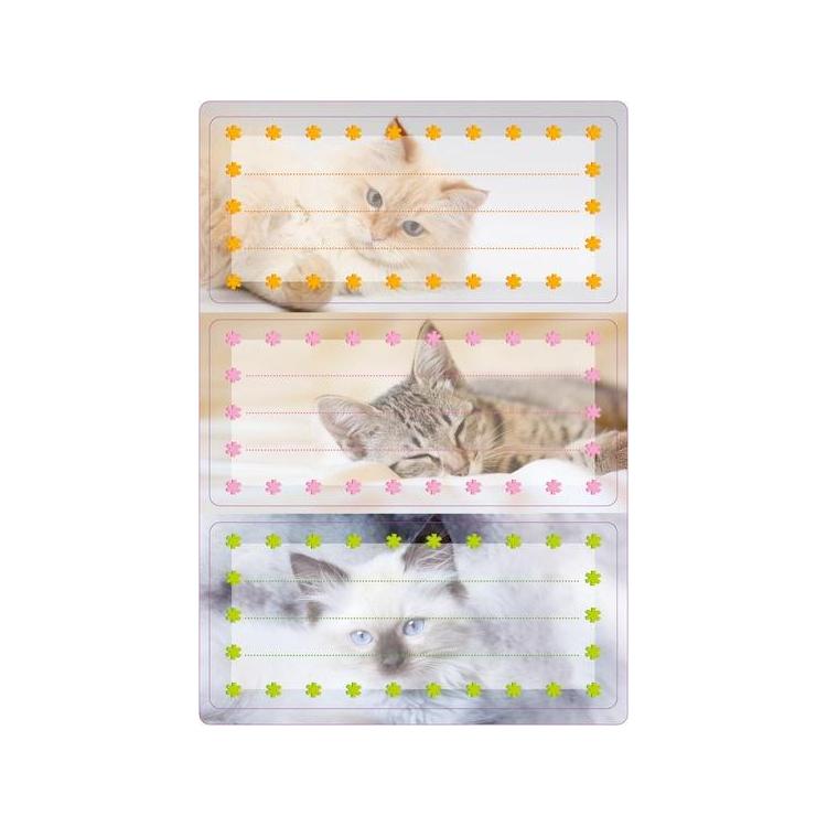 Naklejki szkolne - Kotki 6szt