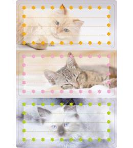 Naklejki szkolne - Kotki 6szt