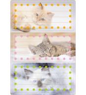 Naklejki szkolne - Kotki 6szt