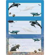 Naklejki szkolne - Delfiny 6szt