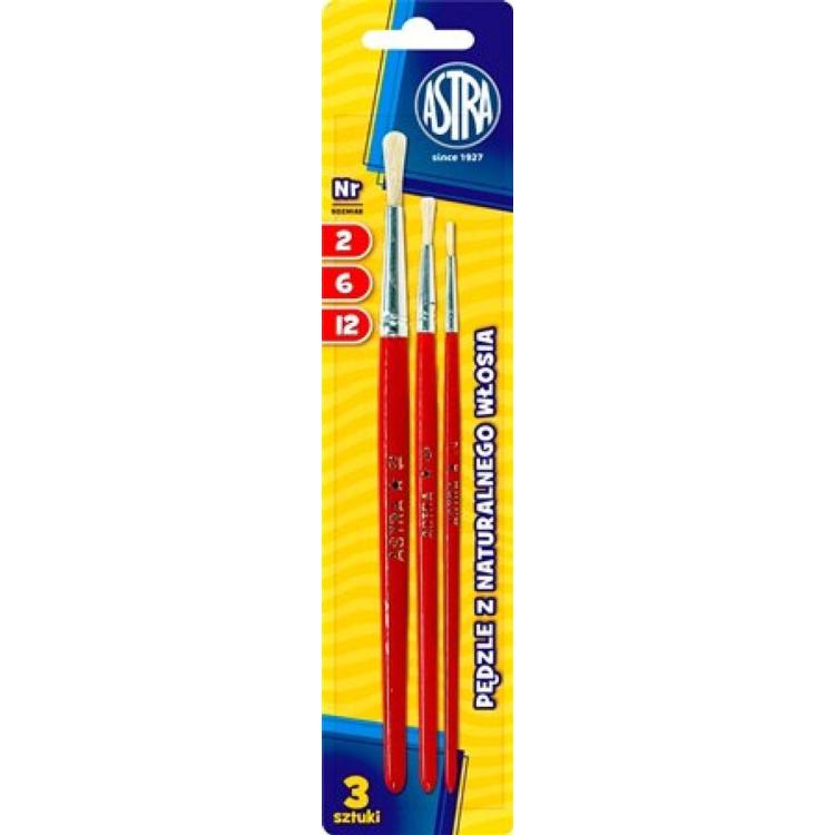 Zestaw pędzli z naturalnego włosia 2/6/12 ASTRA