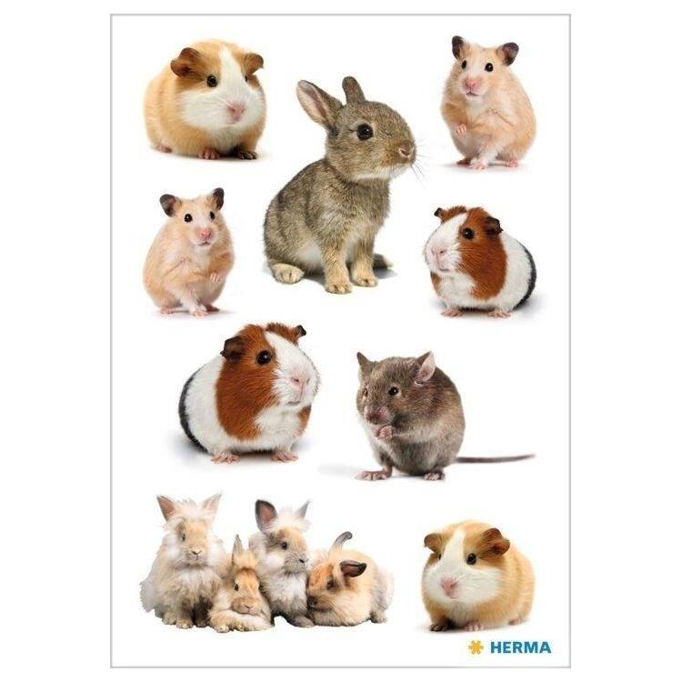 Naklejka Decor gryzonie