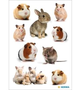 Naklejka Decor gryzonie