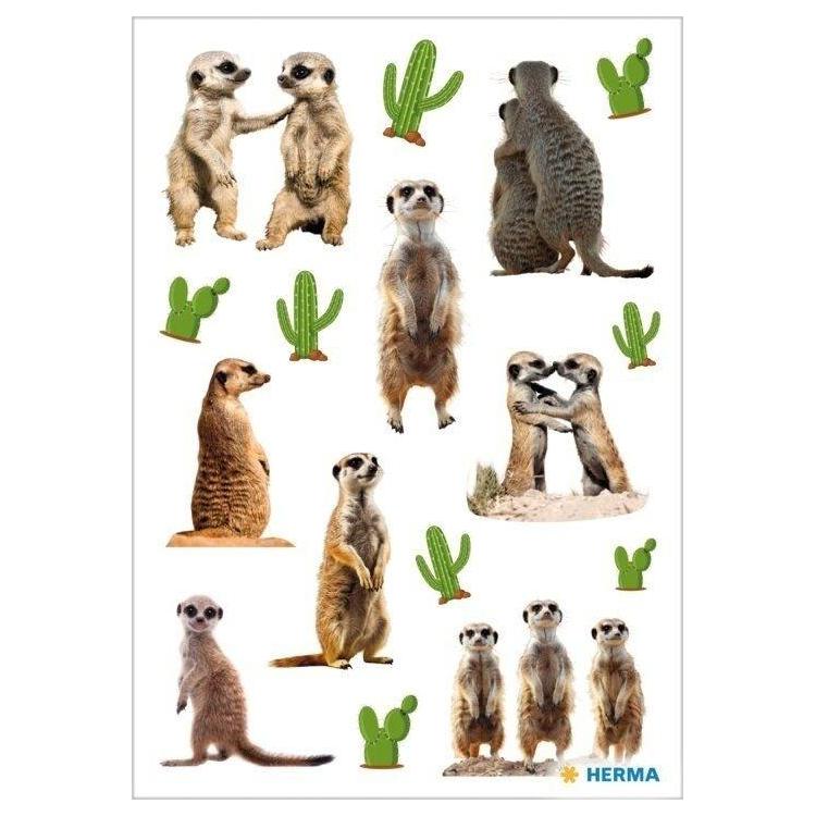 Naklejka Decor surykatki