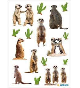 Naklejka Decor surykatki