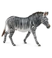 Zebra Grevy's