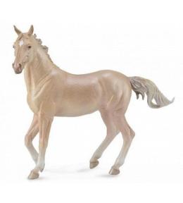 Ogier Akhal-Teke Perlino