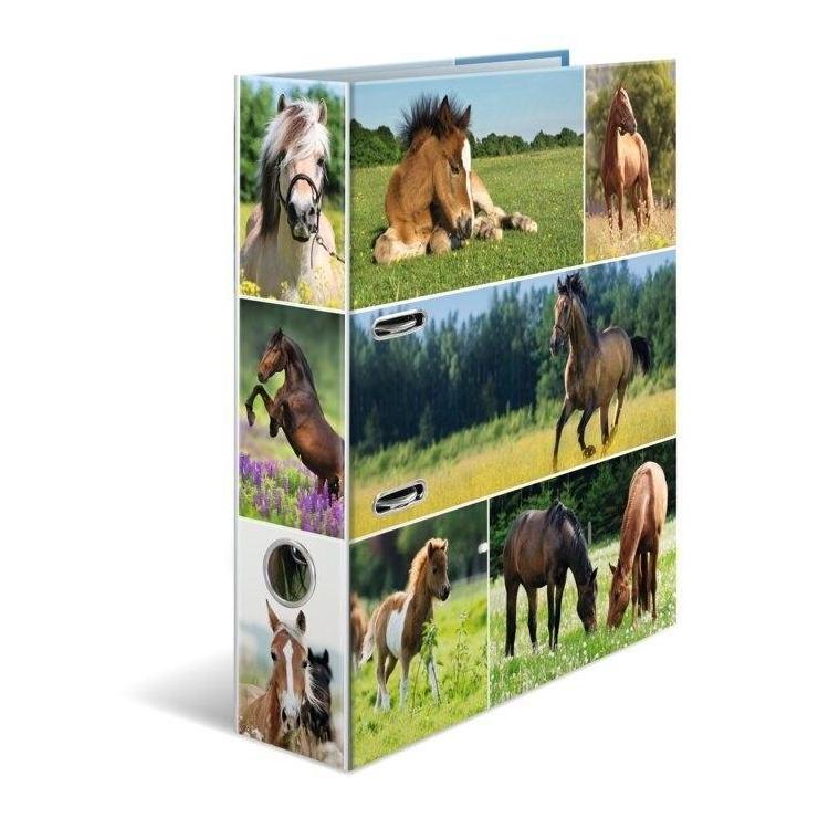 Segregator A4 - Konie na łące