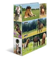 Segregator A4 - Konie na łące