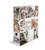 Segregator A4 - Koty