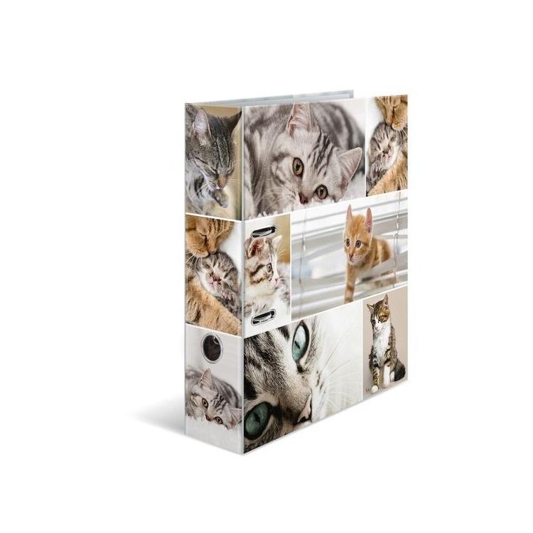 Segregator A4 - Koty