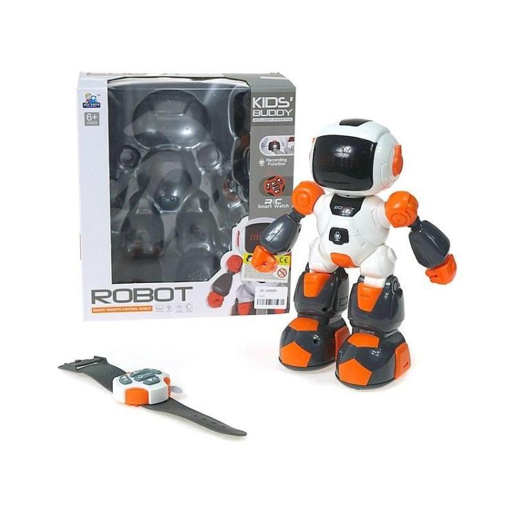 Robot na radio z funkcją nagrywania