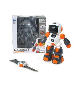 Robot na radio z funkcją nagrywania