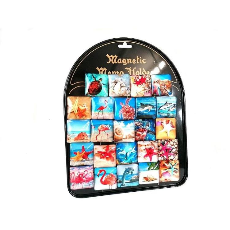 Magnesy morskie (24szt)