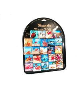 Magnesy morskie (24szt)