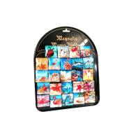 Magnesy morskie (24szt)