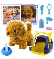 Pudel interaktywny pluszowy chodzi, szczeka