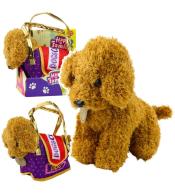 Piesek pudel w torbie