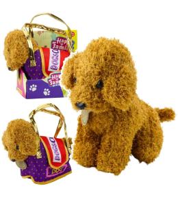 Piesek pudel w torbie