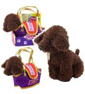 Piesek pudel w torbie