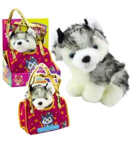 Piesek Husky w torebce pluszowy