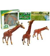 Rodzina żyraf + tło