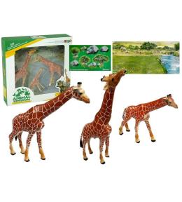 Rodzina żyraf + tło