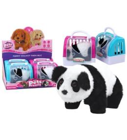 Panda interaktywna w transporterze mix