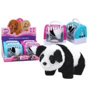 Panda interaktywna w transporterze mix
