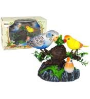 Śpiewające ruchome papużki na drzwewie