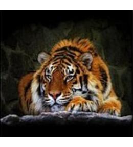 Mozaika diamentowa tygrys