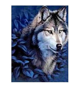 Mozaika diamentowa wilk 30x40cm