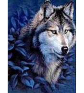 Mozaika diamentowa wilk 30x40cm