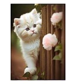 Mozaika diamentowa kotek 30x40cm