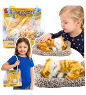 Śpiący rudy kot na poduszce miauczy