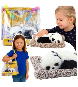 Śpiąca panda na poduszce